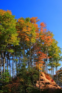 瑞士田径选手以绝佳成绩获得多项冠军