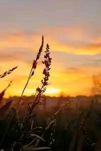 瑞士田径选手以绝佳成绩获得多项冠军