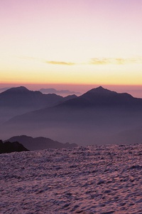 瑞士田径选手以绝佳成绩获得多项冠军