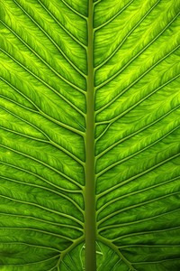 利物浦客场-战胜拉斯帕尔马斯，提前晋级