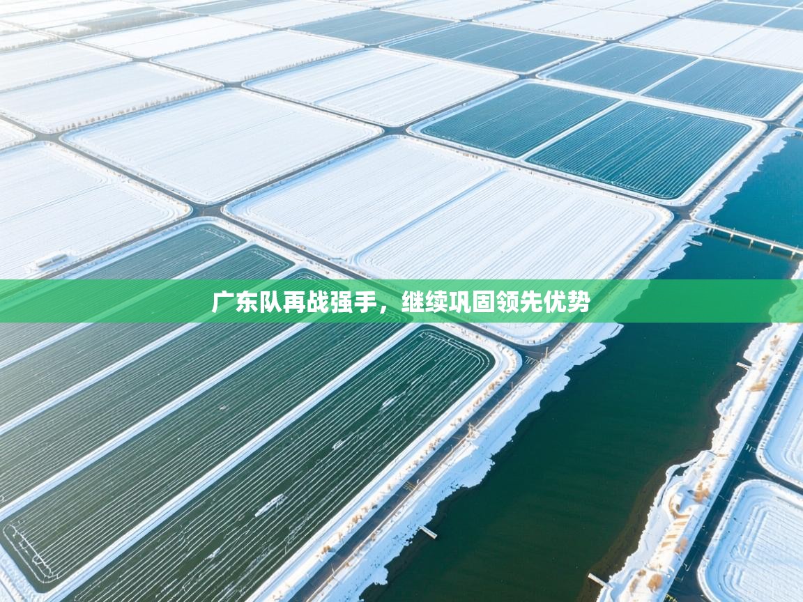 广东队再战强手，继续巩固领先优势  第2张